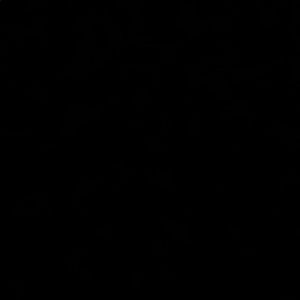 Meet your Posher, Dyana